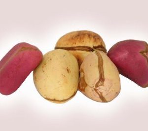 Kolanut